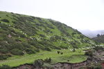 四川风景
