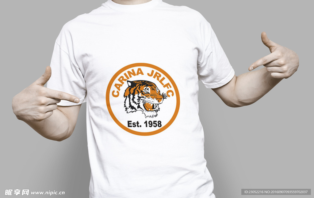老虎 服装印花图案