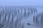 霞浦风光