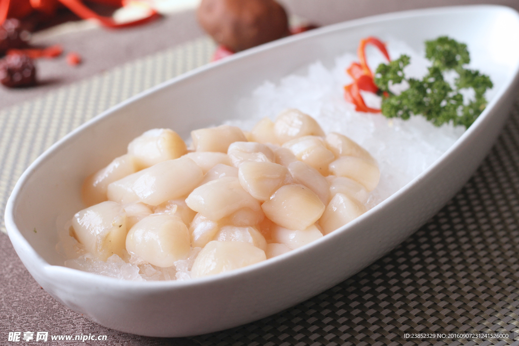 鲜贝丁