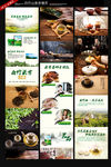 白竹山茶详情页