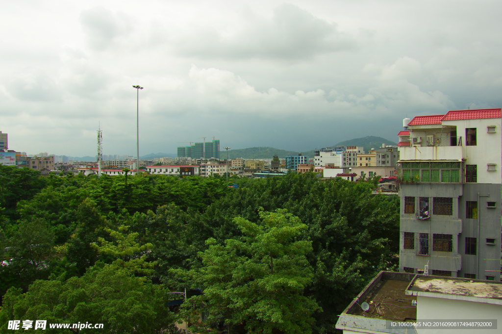 城市半边天 建筑与绿化