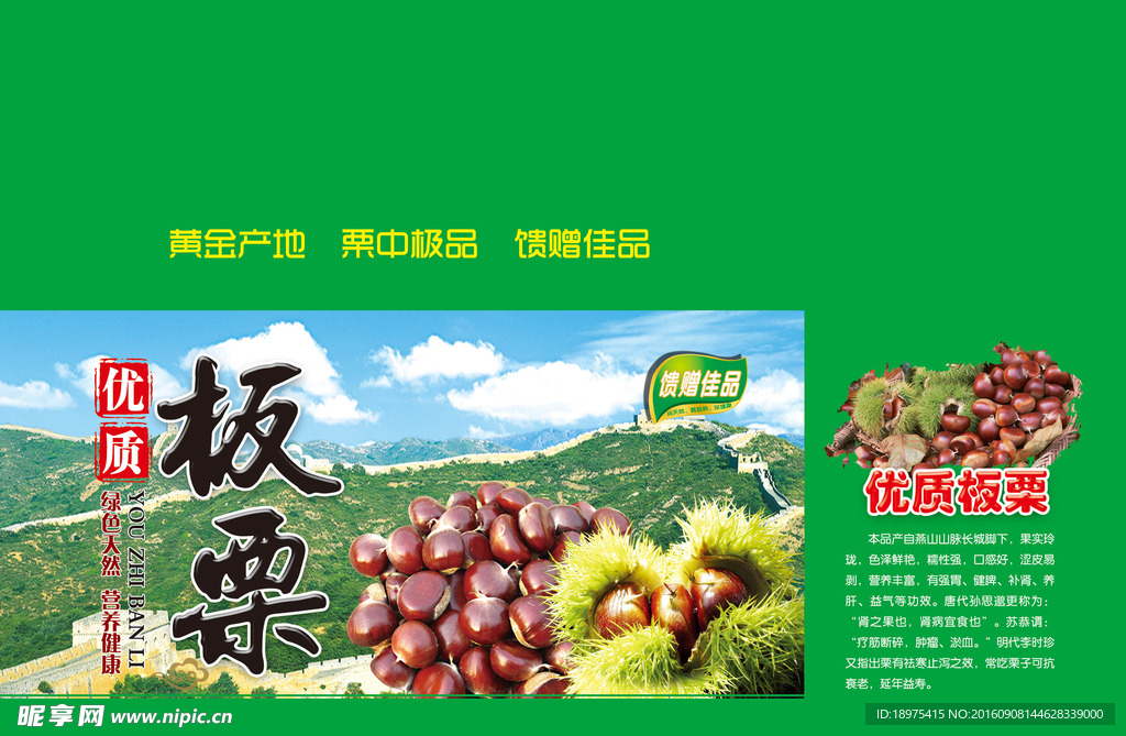 优质板栗