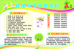环境与卫生宣传栏
