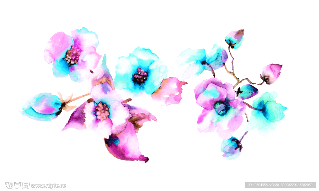 水彩花卉
