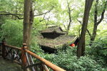 林中小屋