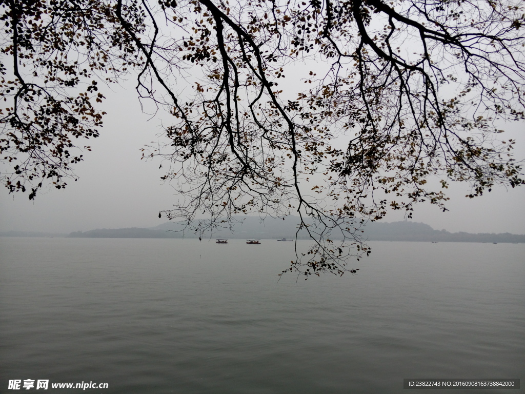 西湖美景