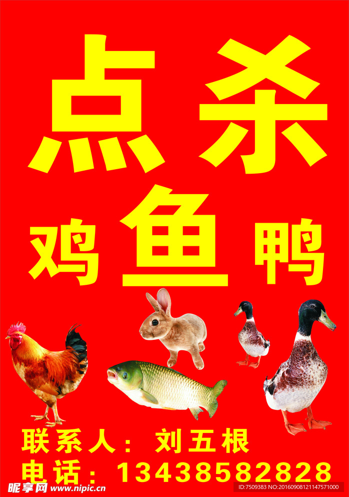 点杀鸡 鸭 鱼