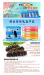 海鲜淘宝广告