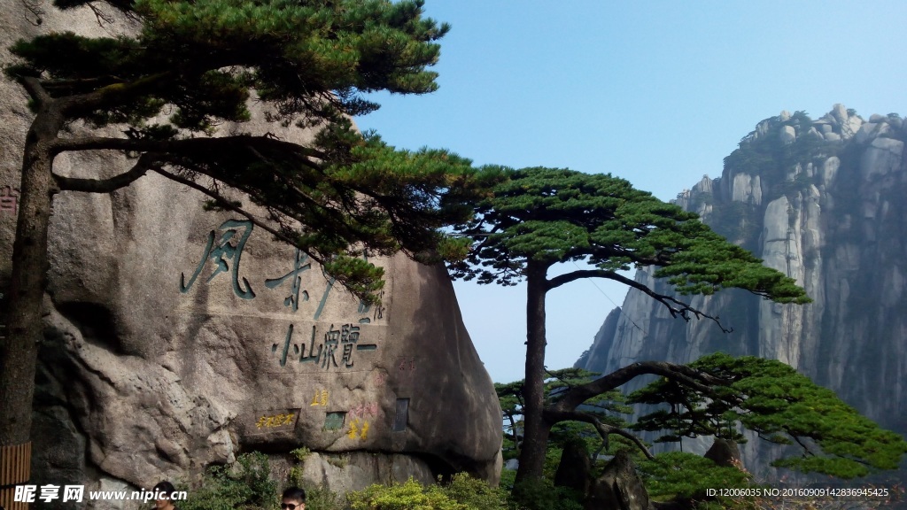 问候松