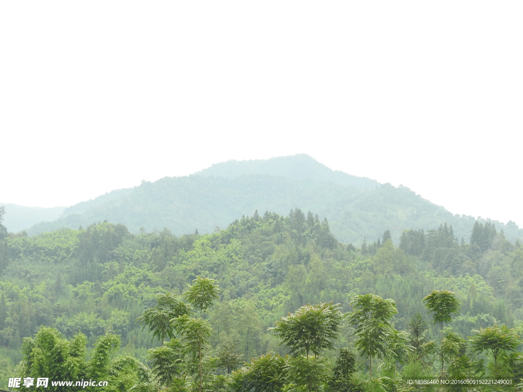雨后山顶