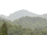 山林