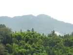竹山