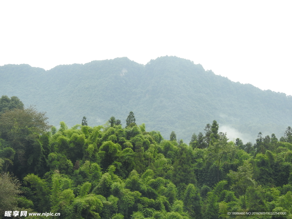 竹山