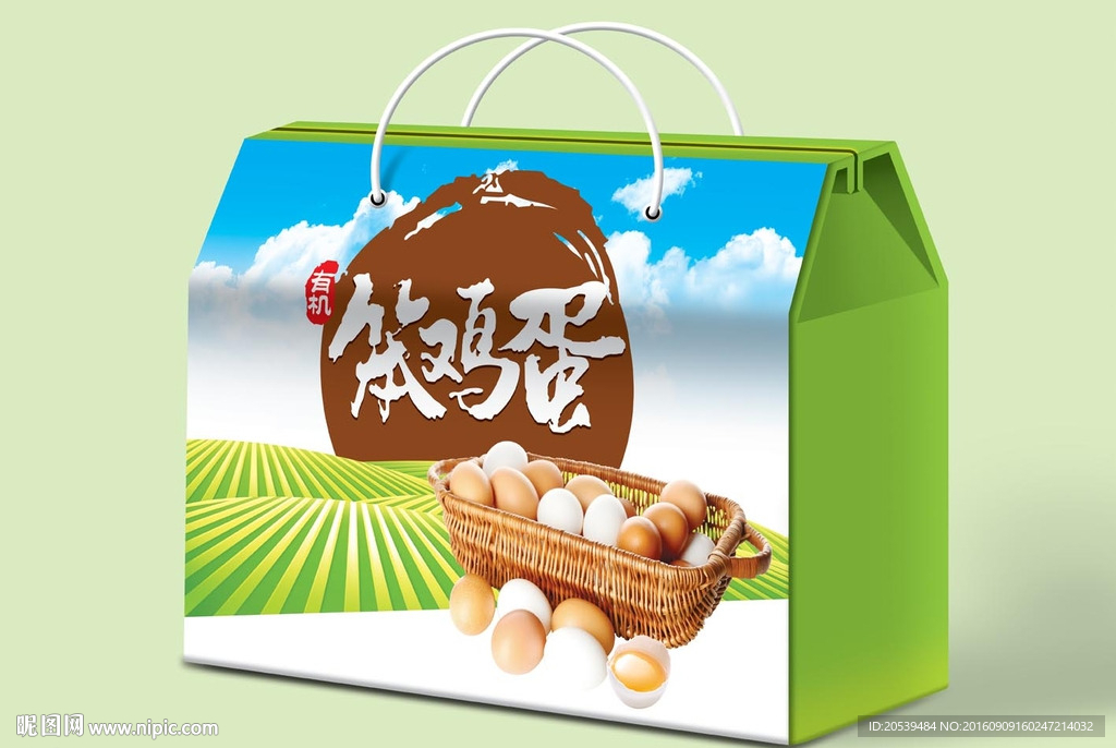 笨鸡蛋平面图和效果图