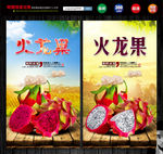 火龙果