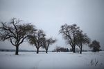 雪景