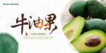 牛油果展板