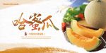 哈密瓜展板