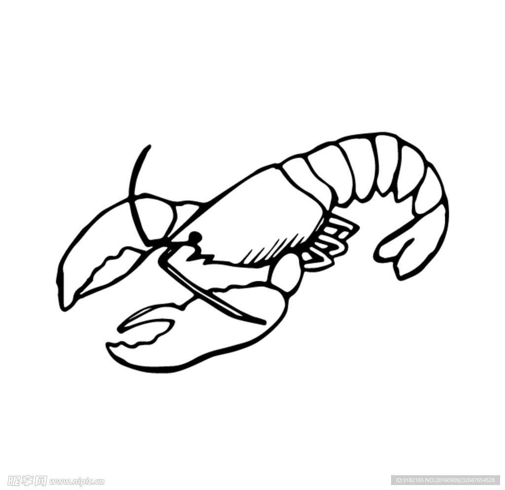 AI失量海洋生物龙虾卡通插画