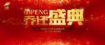 乔迁盛典