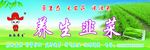 白面书生韭菜