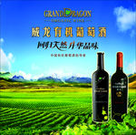 威龙背景
