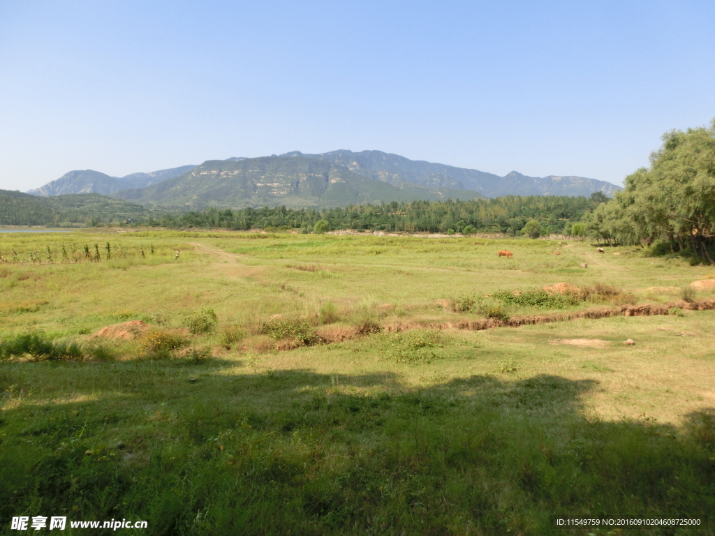 登封秋季风景