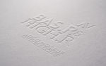 logo效果