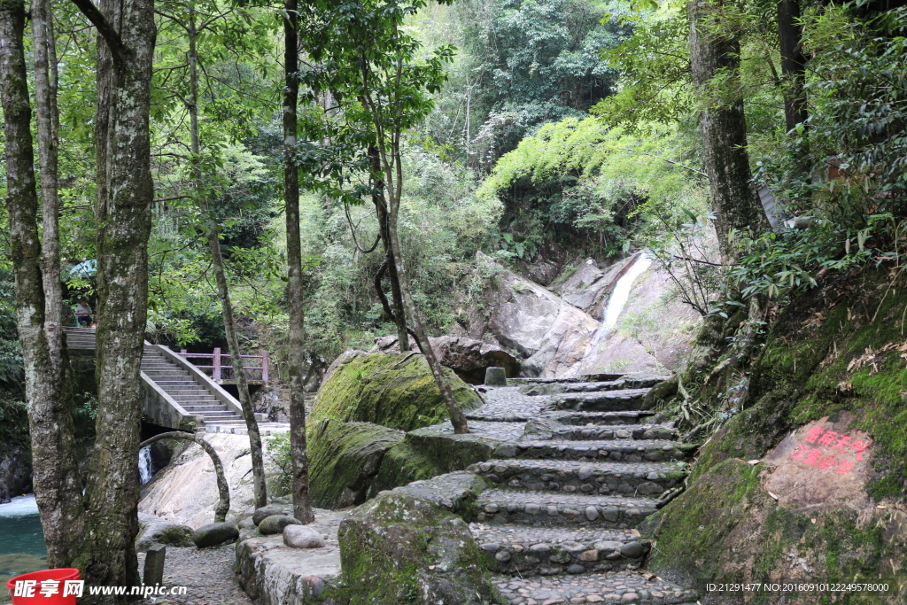 峡谷山路