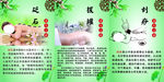 砭石 拔罐 刮痧