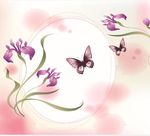 蝶恋花