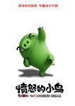 愤怒的小鸟