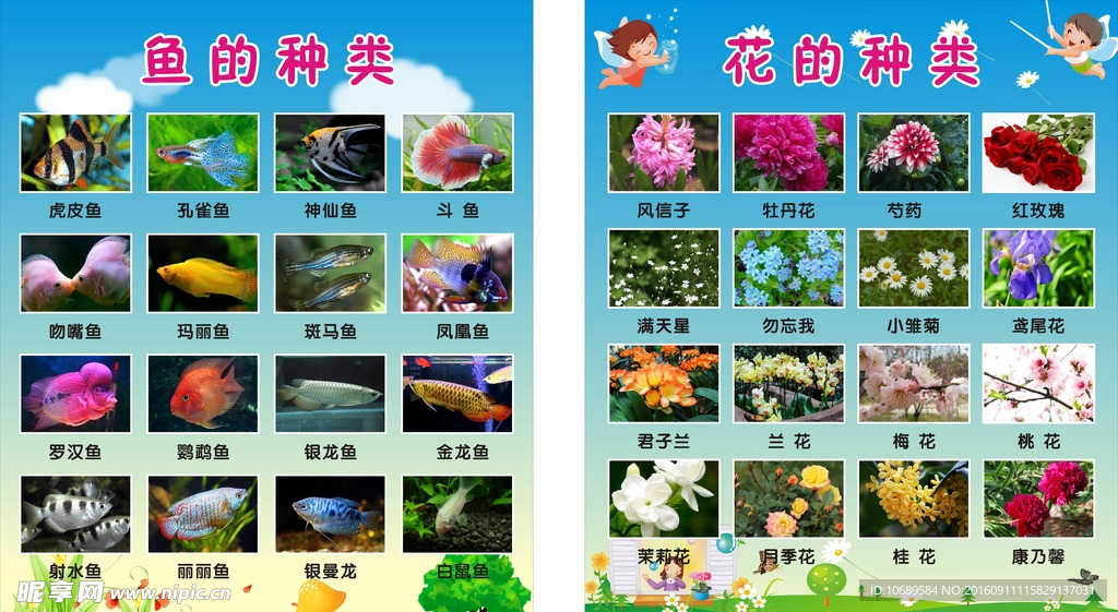 幼儿识别图