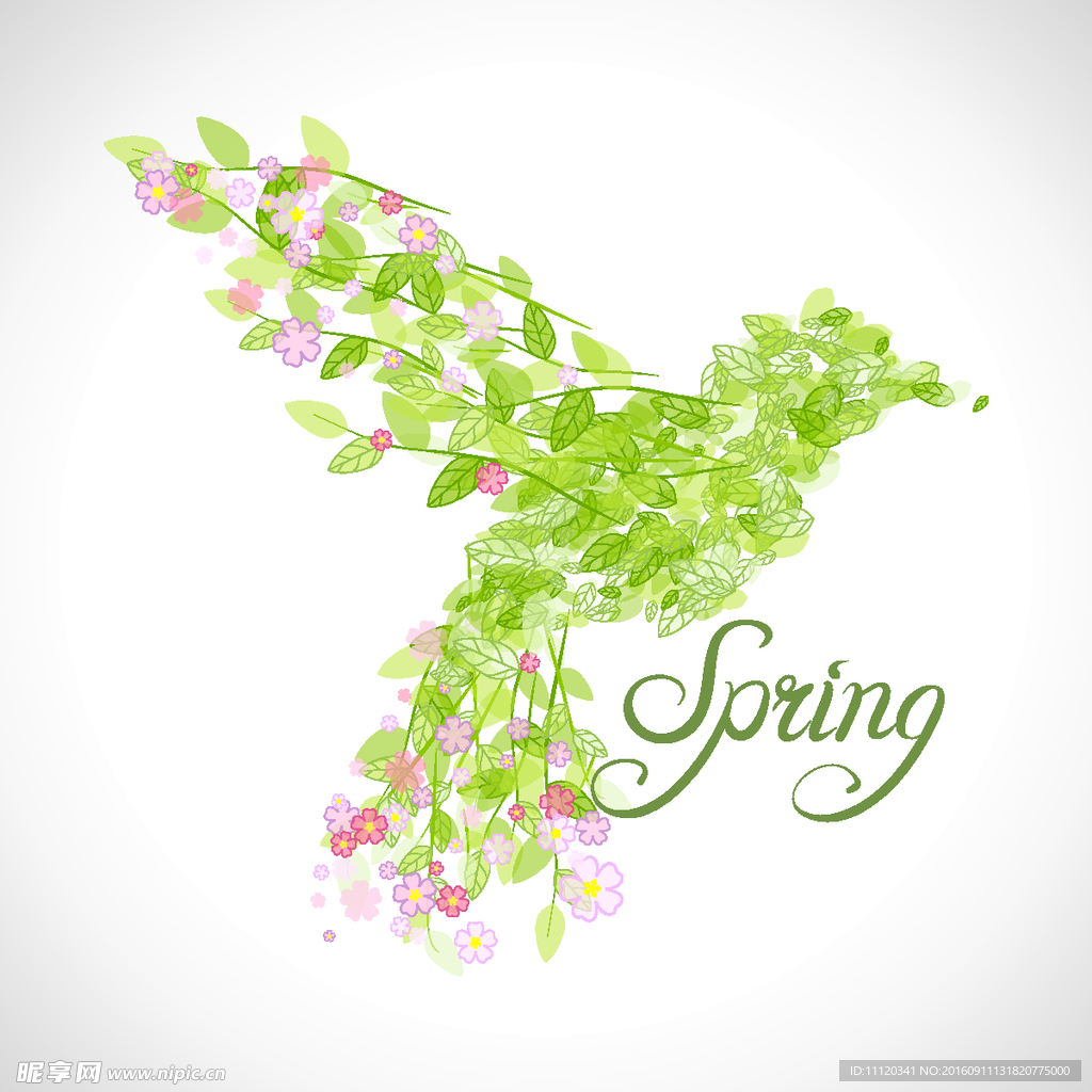 春季花鸟矢量图