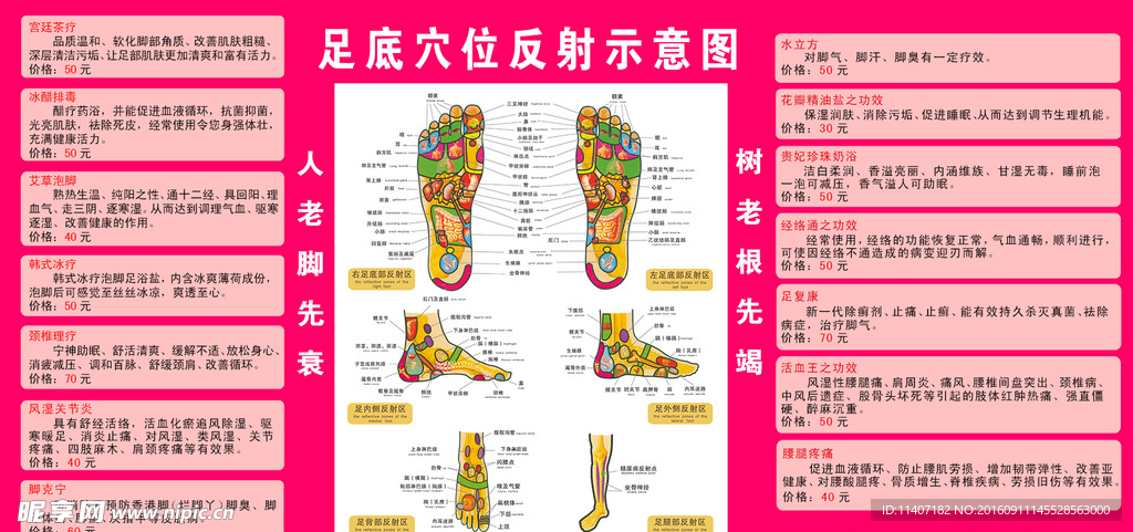 足底穴位反射示意图