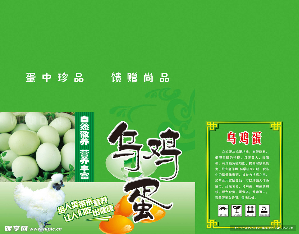 乌鸡蛋箱