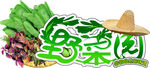 野菜