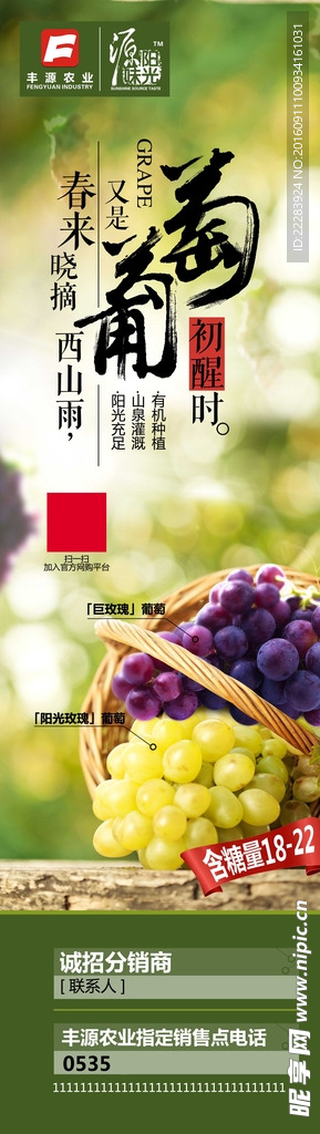 葡萄易拉宝展架