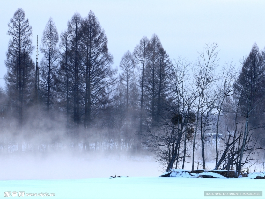 雪景