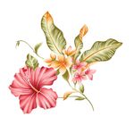 浪漫唯美花朵背景底纹