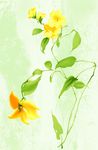 浪漫唯美花朵背景底纹