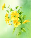 黄色唯美花朵背景底纹