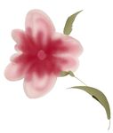 唯美花朵背景底纹