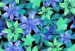 唯美花瓣背景底纹