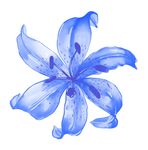 蓝色唯美花朵背景底纹
