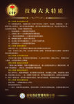技师六大特质