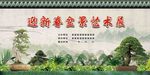 盆景展