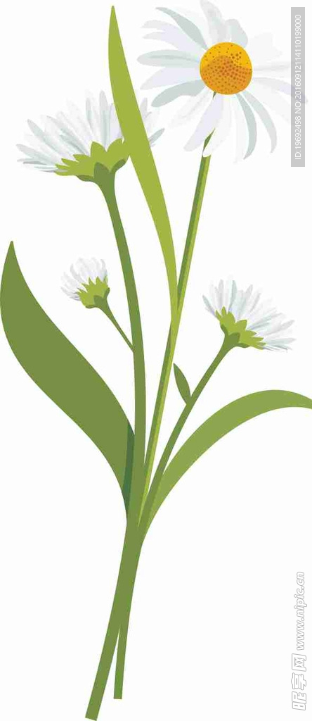 矢量图 雕刻 印花图案 手绘