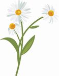 矢量图 雕刻 印花图案 手绘